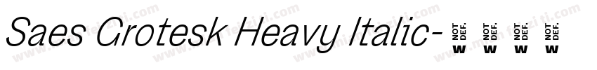 Saes Grotesk Heavy Italic字体转换